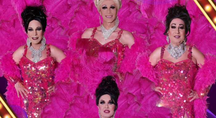 Travesti Divoké kočky