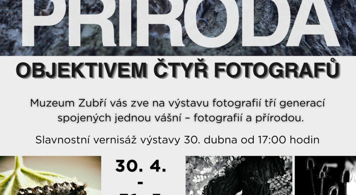 Aktuální výstava
