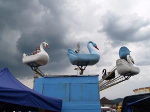 P5249118
