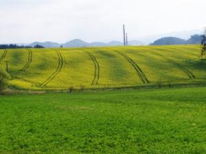 pohled_smer_Roznov