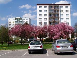 Pro ZN 2007-5