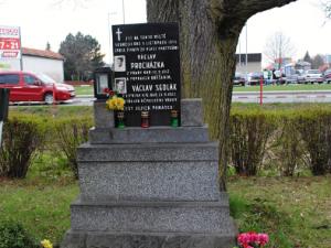 mesto-zubri-1372399270016