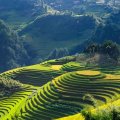 Jiří Mára - Vietnam