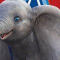 DUMBO