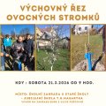 Výchovný řez ovocných stromků