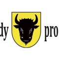 Nápady pro Zubří - Informace k podání nápadu