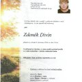 Zdeněk Divín